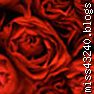 angelique laurent yoane and me touse emsemble dans se bouker de rose